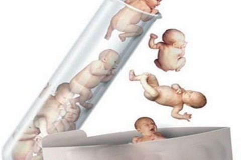 http://fuzhou.dacou.net/post/194.html|福州新闻中心